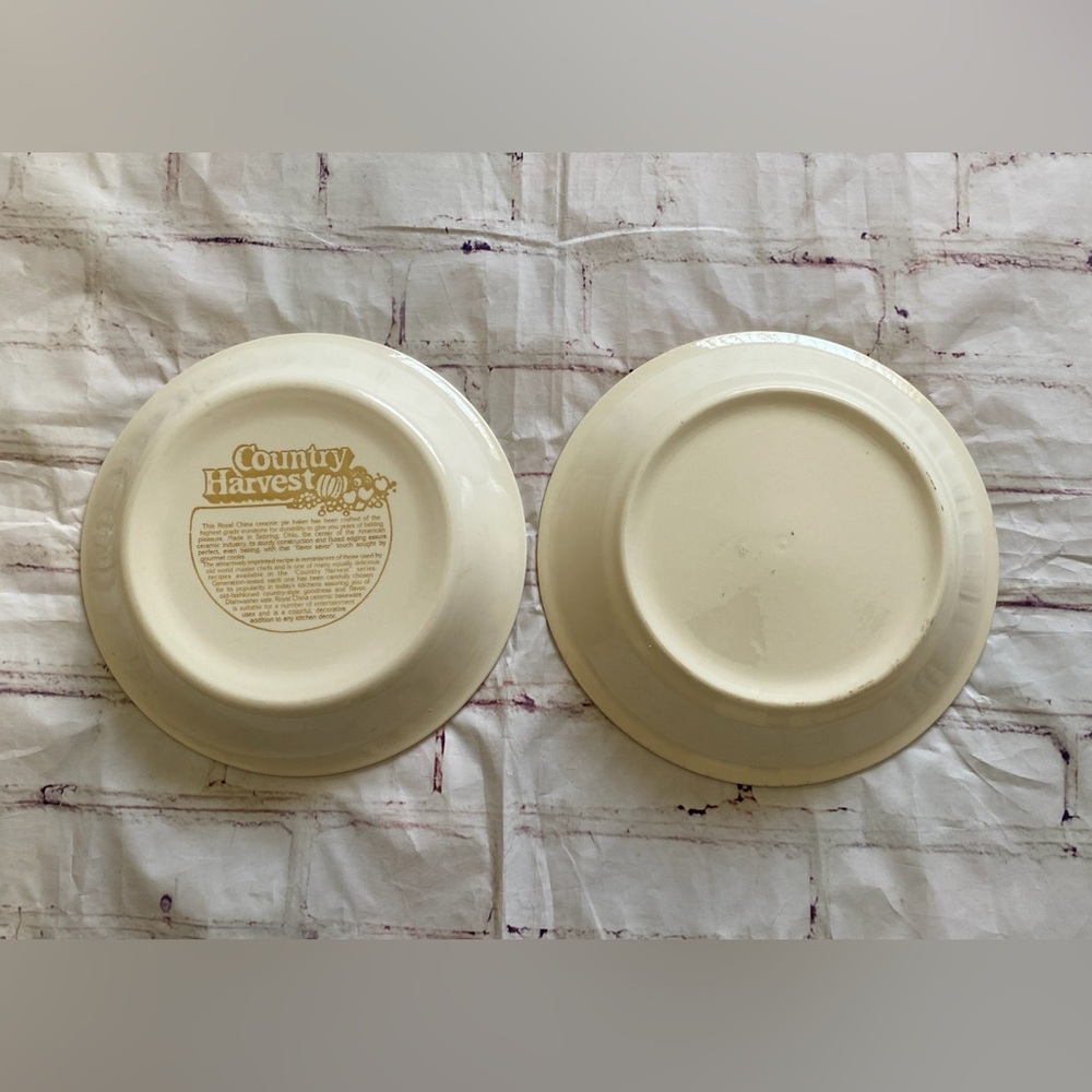 Vintage Country Harvest Pie Plates Set Cherry & Cheesecake Recipe Dishes 11” - Picture 2 of 15